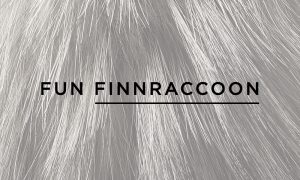 finn_
